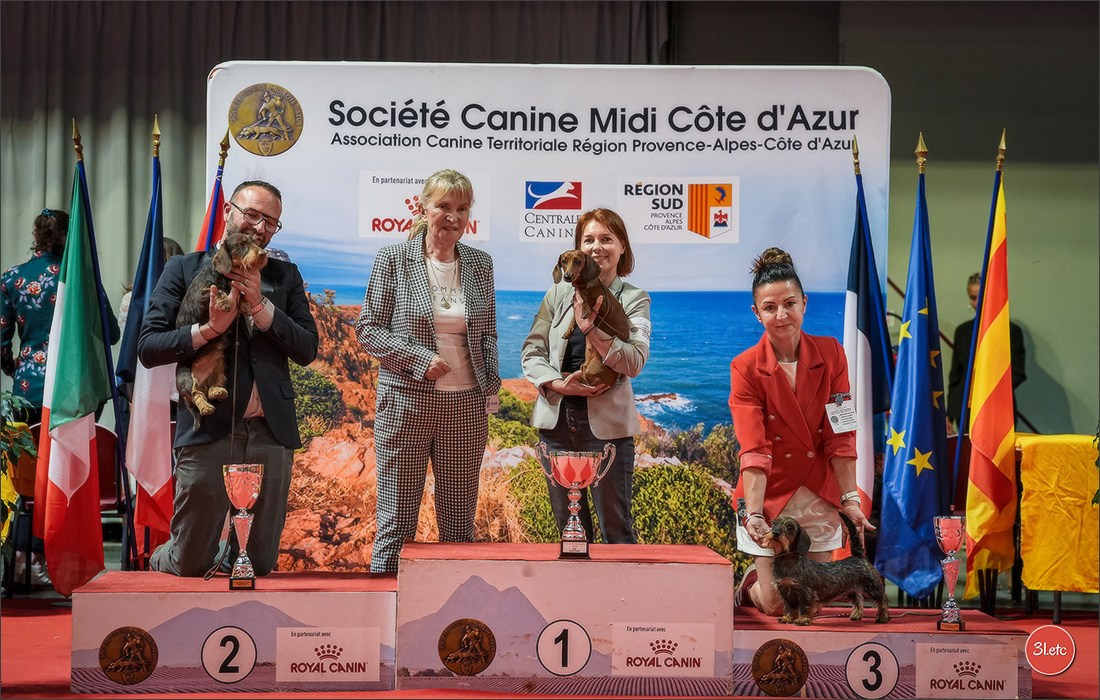 Expo canine 🇫🇷 Martigues 18-19/04/2026
