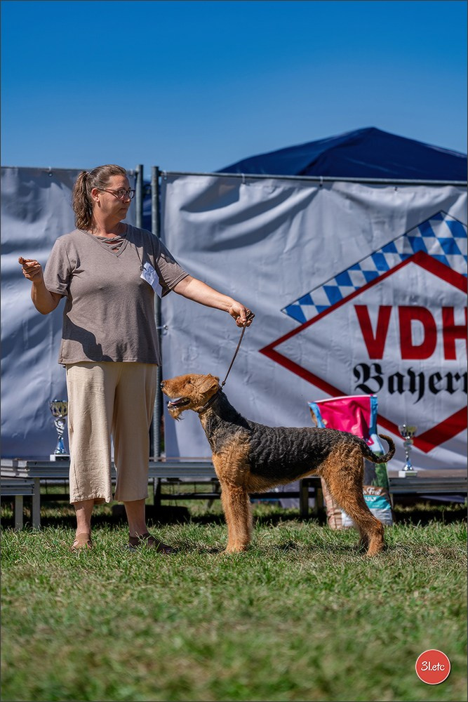 Dog Show - Hallbergmoos 🇩🇪 11-12/07/2026