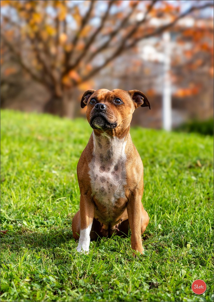 Strasbourg autumn. Photographe à Strasbourg | Portraits, Studio, Enfants, Événements