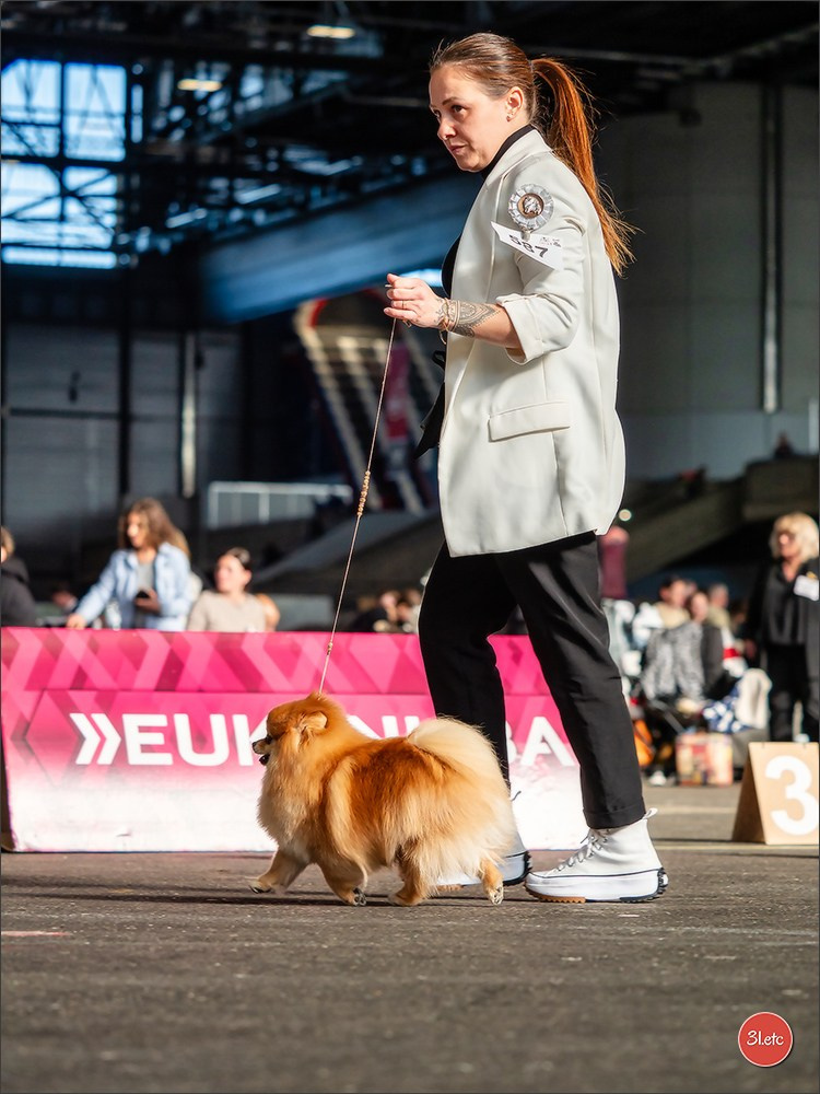 🇨🇭 Geneva Dog Show 15-17/11/2024. Photographe à Strasbourg | Portraits, Studio, Enfants, Événements