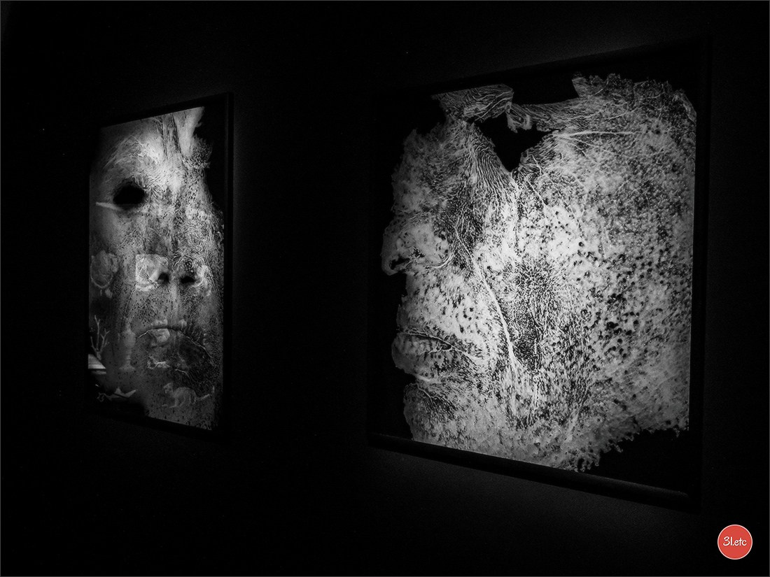 Musée d'Art Moderne et Contemporain de Strasbourg. Photographe à Strasbourg | Portraits, Studio, Enfants, Événements