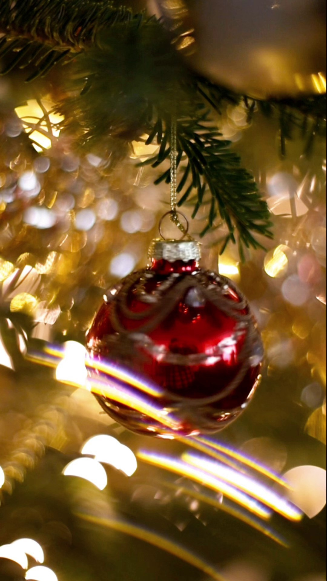 Un scurtmetraj despre voi. Fotograf de familie în Oradea Katsiaryna Ciortan