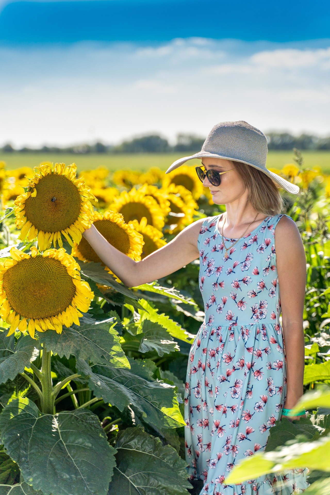 Sunflowers. ARTIGO Igor Rudyi Art Photography
