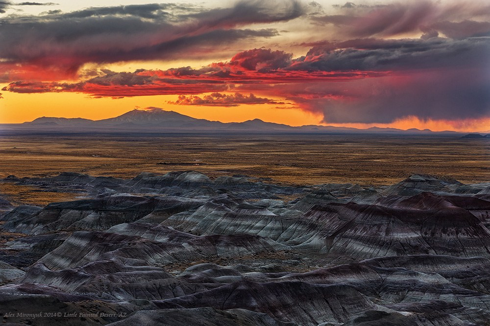 Eagle’s View — Arizona. Pet, Senior, Landscape, portrait studio, photographer in Miami and Sou