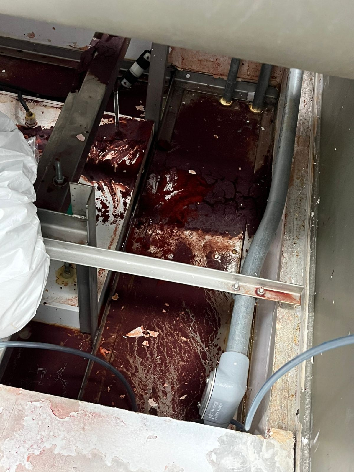 Limpieza, Lavado y Sanitizado Industrial. Grupo DECOCO