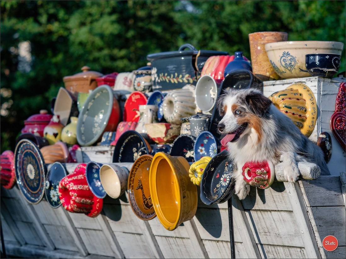 Domaine de la patte blanche. Photographe à Strasbourg | Portraits, Studio, Enfants, Événements