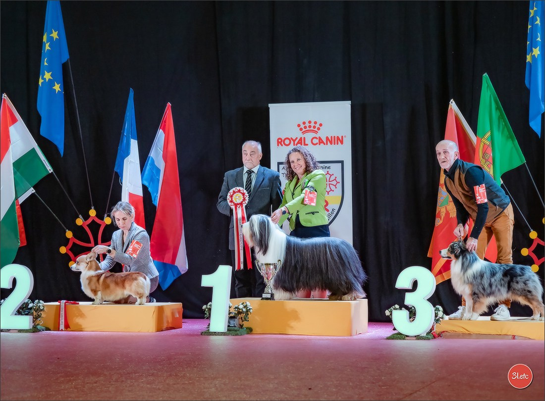 🇫🇷Exposition Canine Internationale de Perpignan. Photographe à Strasbourg | Portraits, Studio, Enfants, Événements