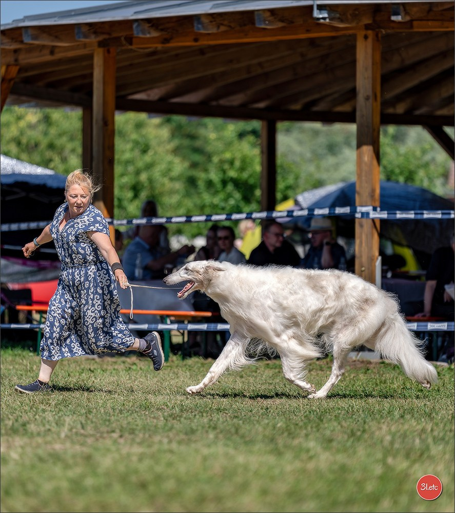 Dog Show - Hallbergmoos 🇩🇪 11-12/07/2026