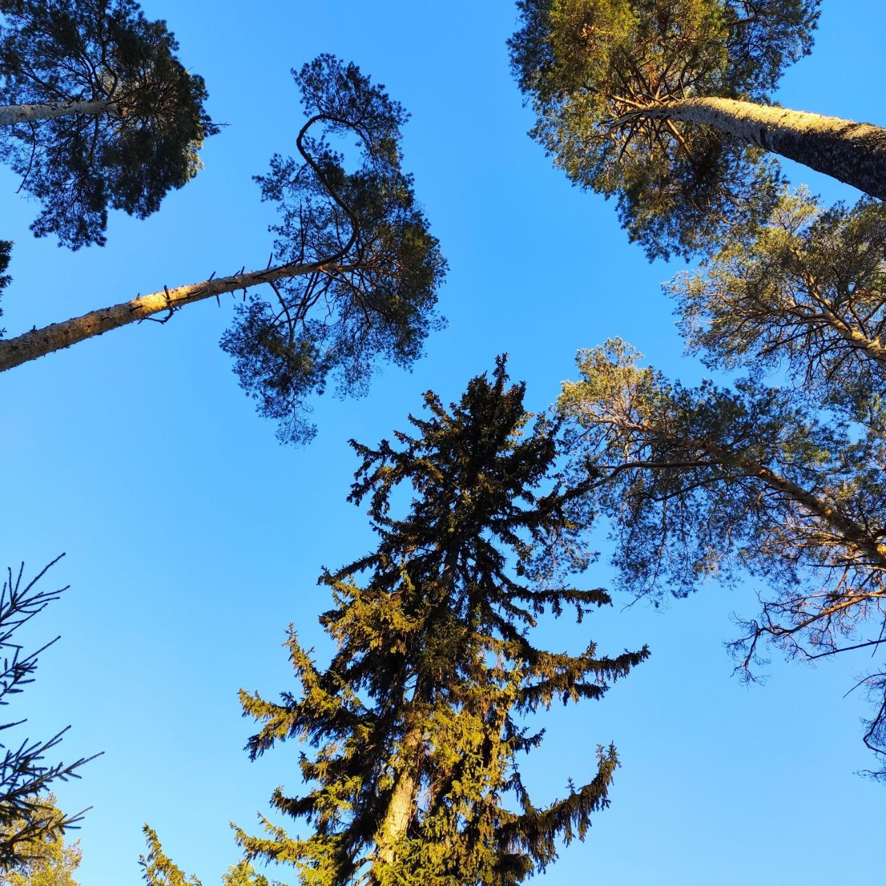 Change4Life: медитации, выгорание, мягкие навыки, ретриты