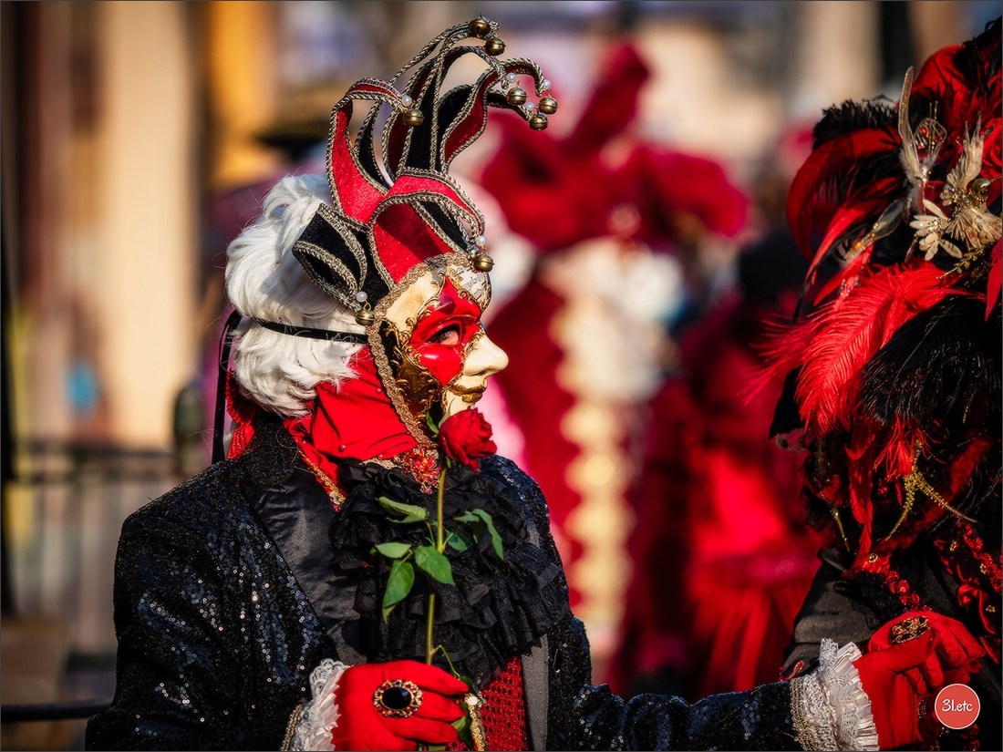 Carnaval vénitien de Rosheim 2026. Photographe à Strasbourg | Portraits, Studio, Enfants, Événements