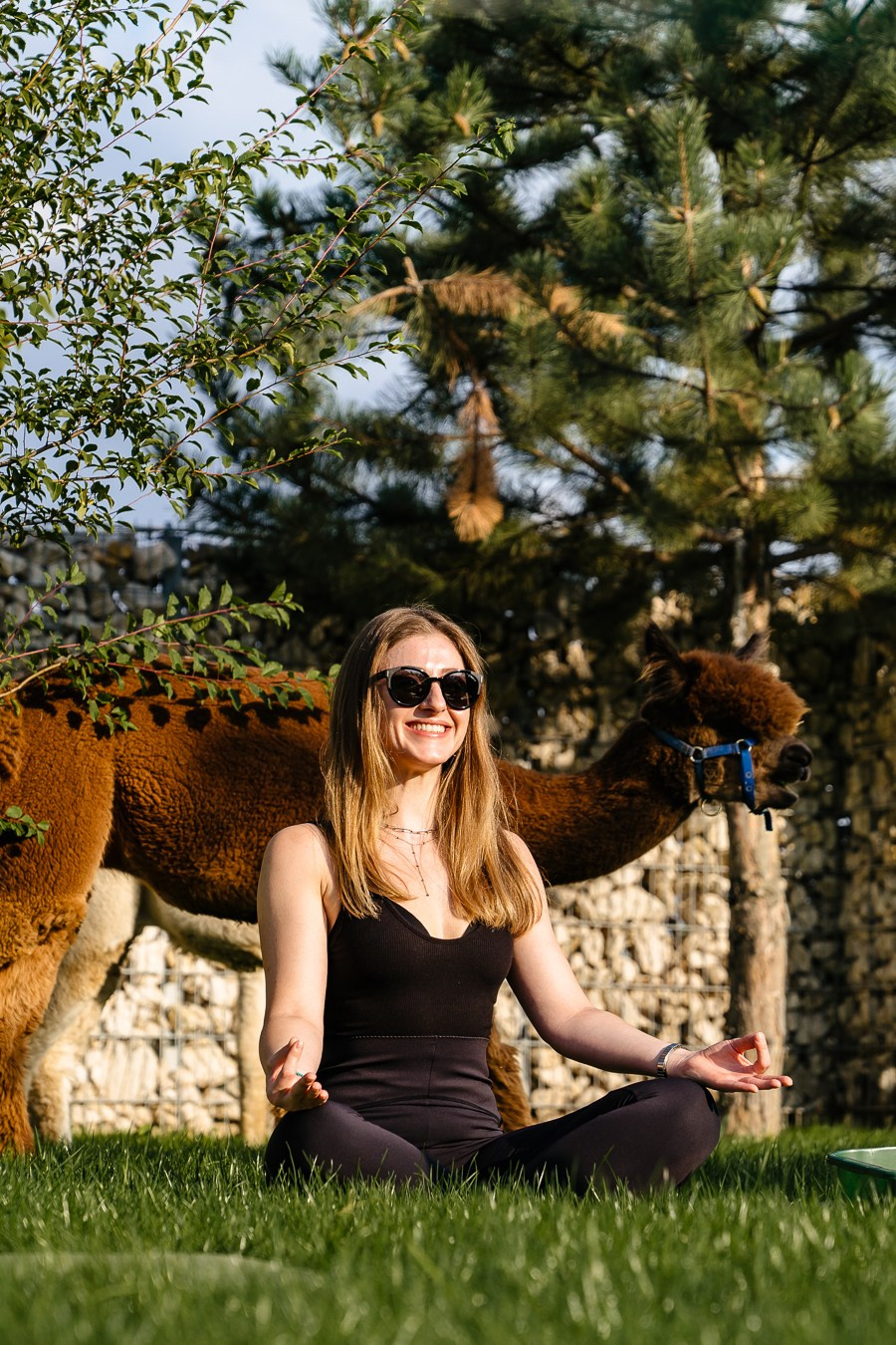 Fotografie Horeca. Fotograf Corporate Business