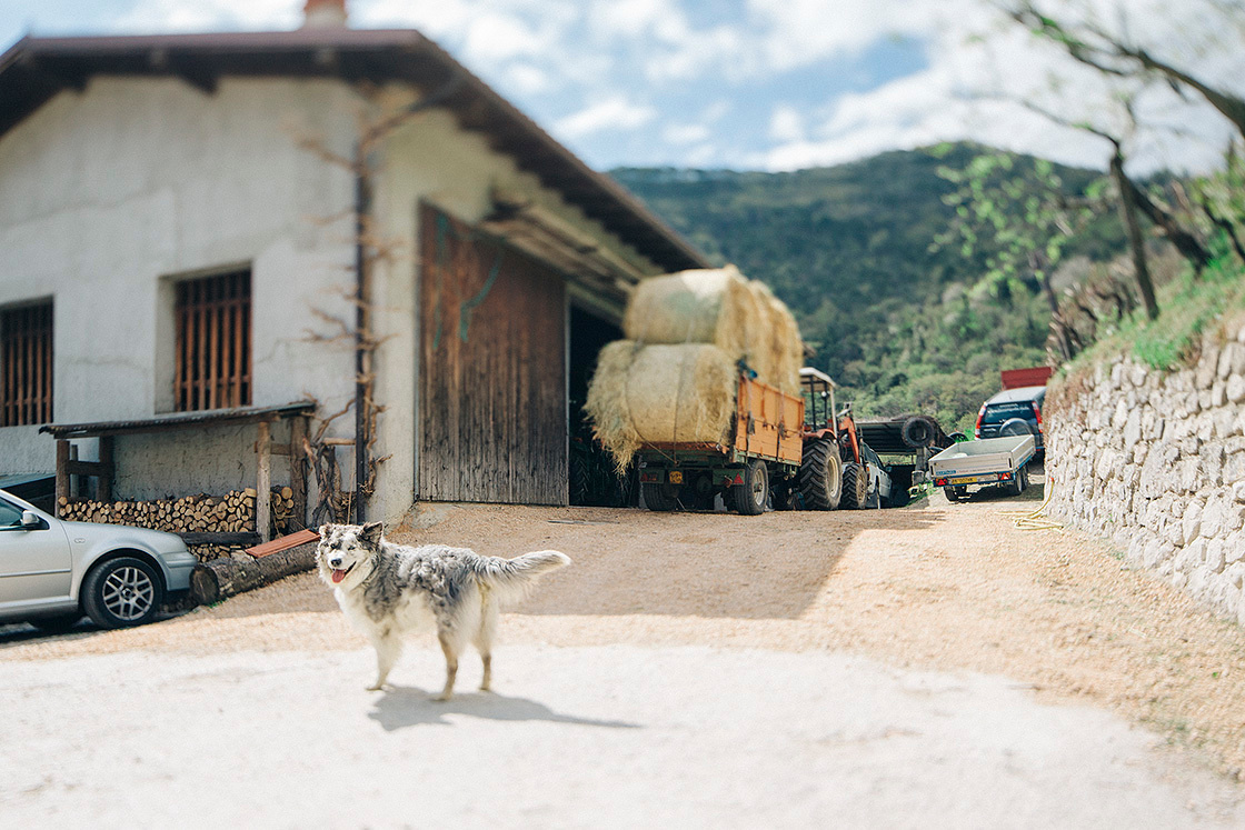 Photographing a wedding in Italy. Wedding, portrait & event photographer in Riga, Latvia