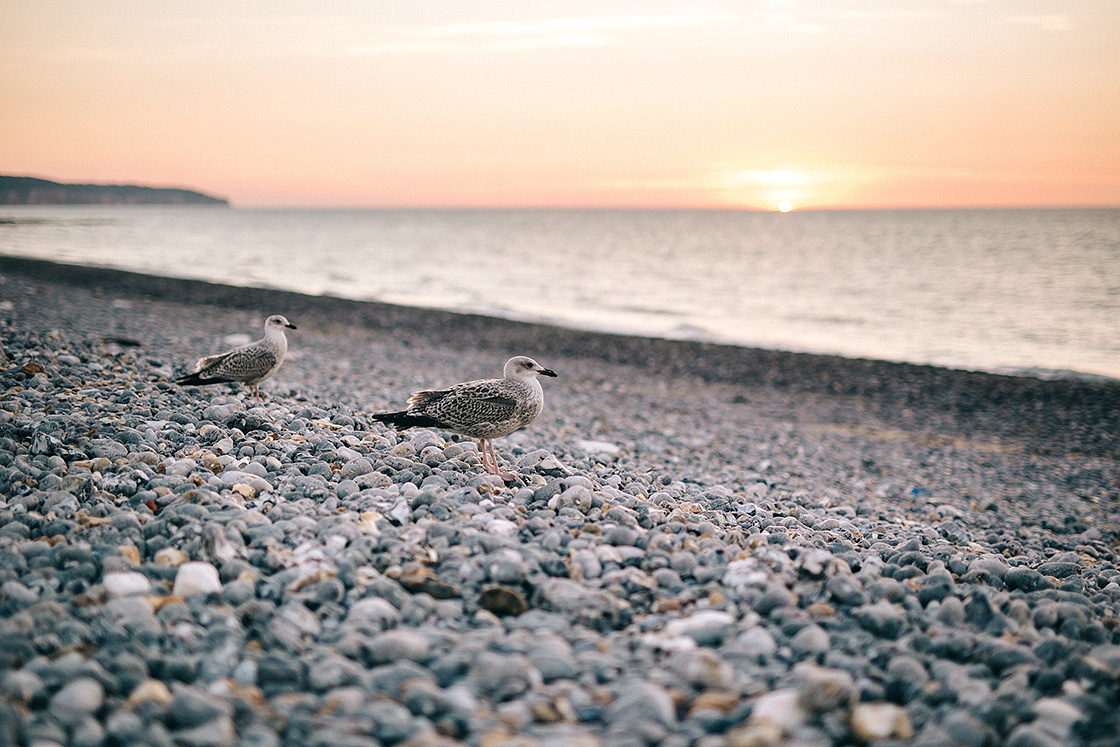 Фото Обручения пары на берегу океана. Свадебный фотограф в Риге Юрий Кор