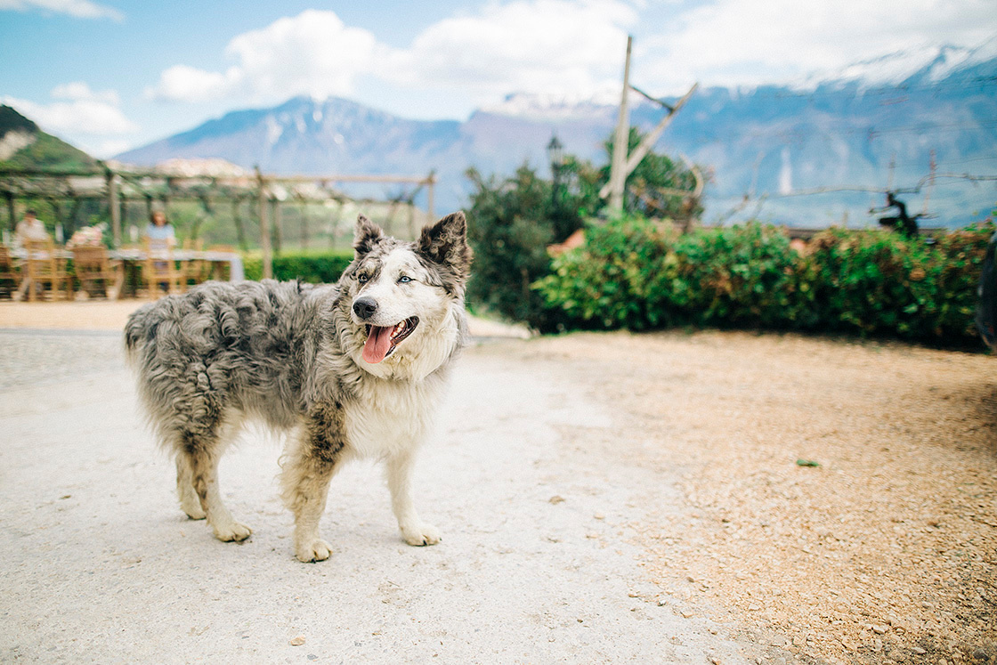 Photographing a wedding in Italy. Wedding, portrait & event photographer in Riga, Latvia