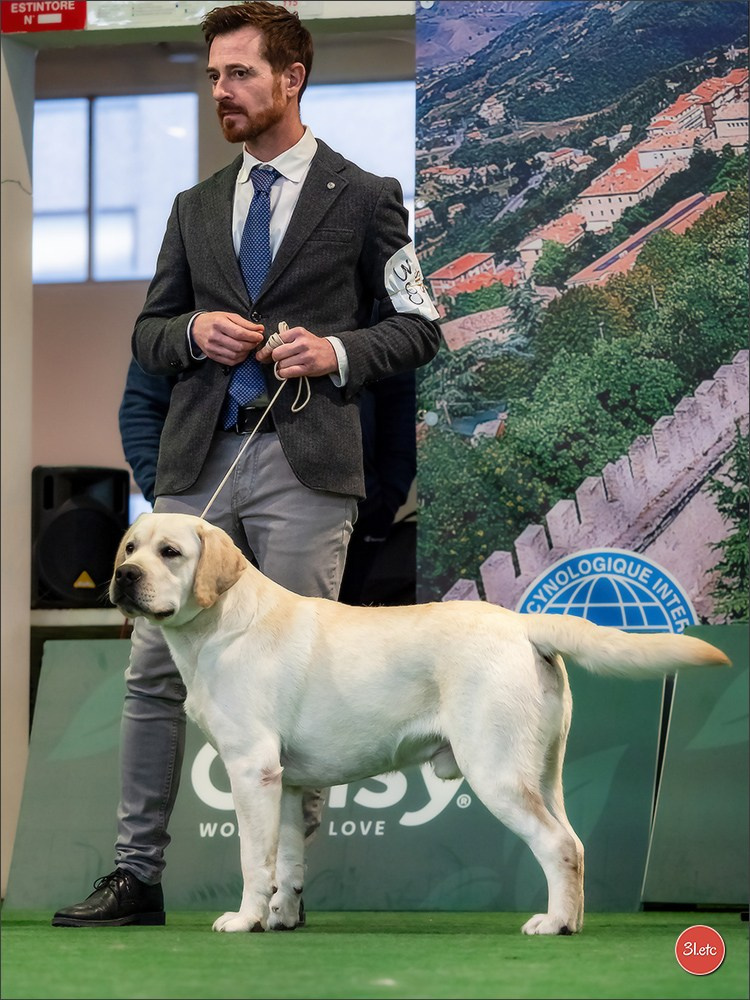 Dog Show  🇮🇹  San Marino. Photographe à Strasbourg | Portraits, Studio, Enfants, Événements