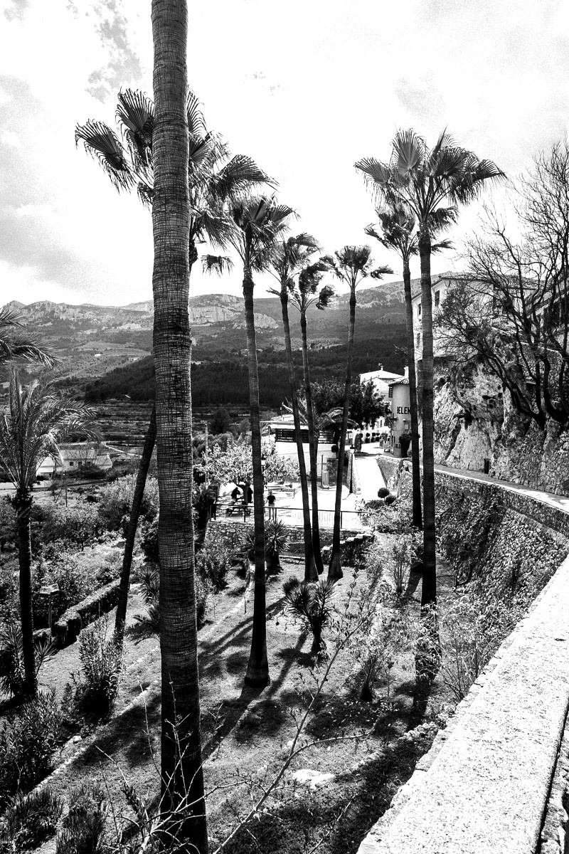 Испания. Портретный фотограф Алена Новгородцева