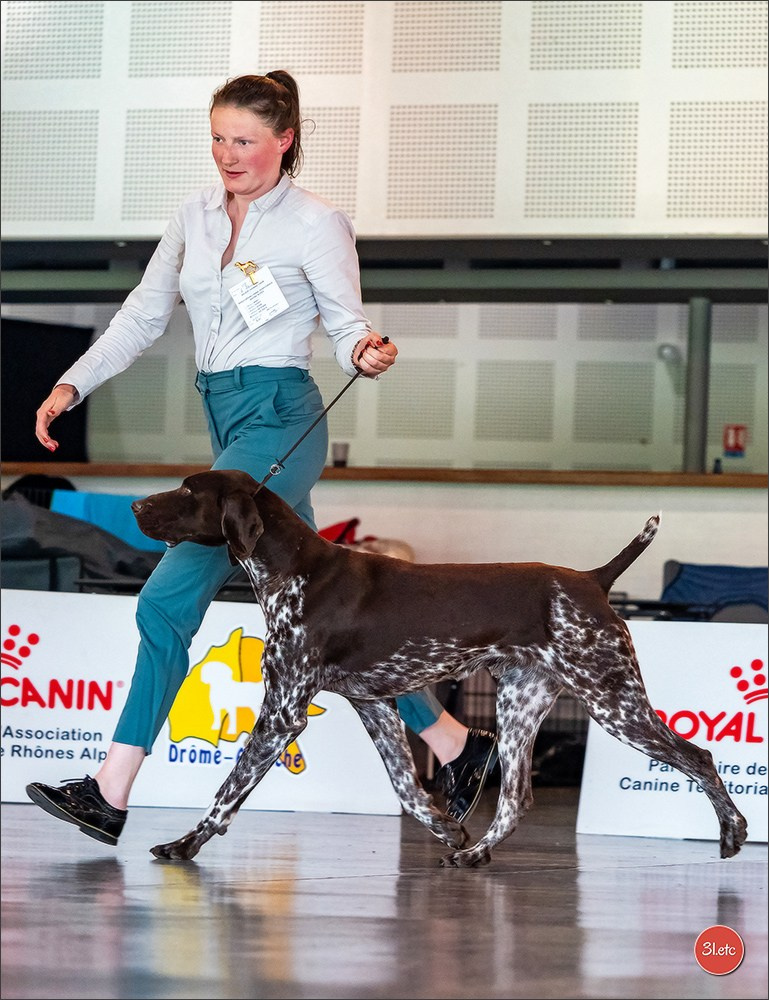 Expo canine 🇫🇷 Valence 03-04/05/2025. Photographe à Strasbourg | Portraits, Studio, Enfants, Événements
