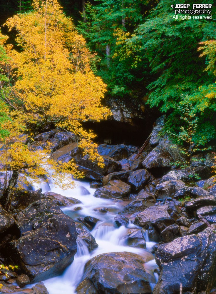 Valle de Hecho, Pyrenees, Huesca