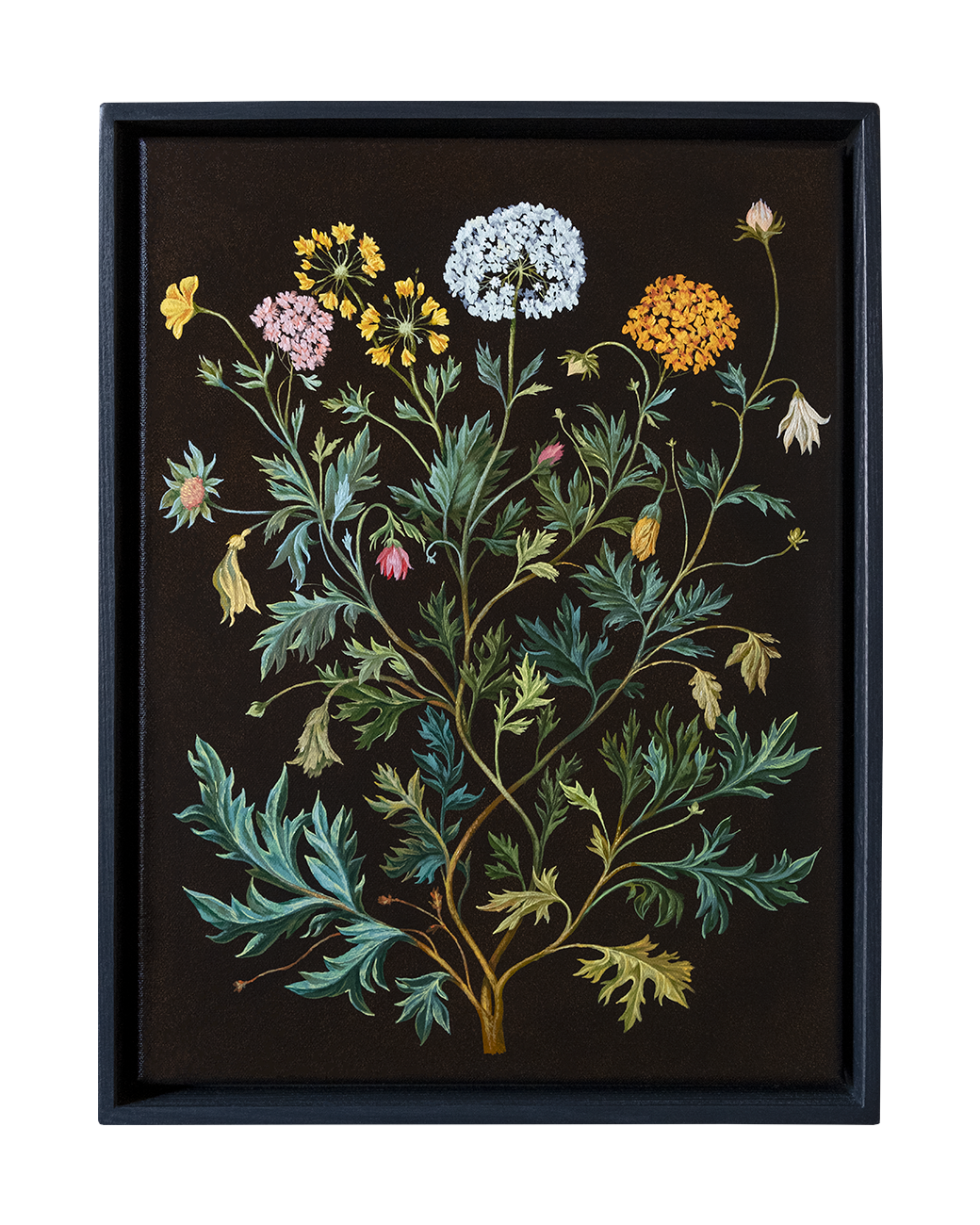 The Girl who feeds the Birds. ELEN BEZHEN