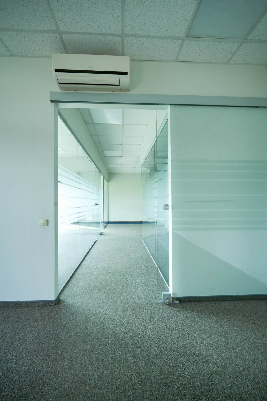 Olimpiečių 1. Elina Sapiega fotografė Vilniuje