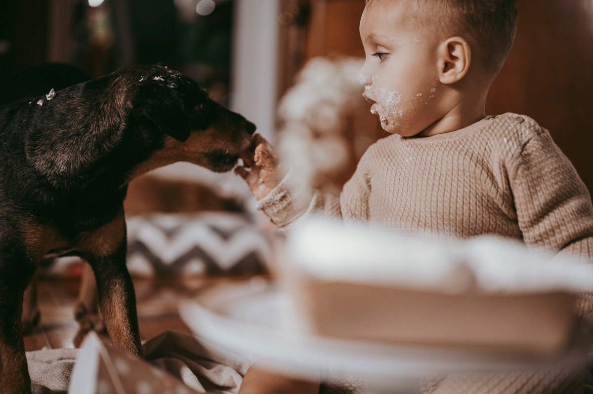 Filipova prva proslava rodjendan kod kuce. Deciji i porodicni fotograf u Beogradu Oksana Skendzic