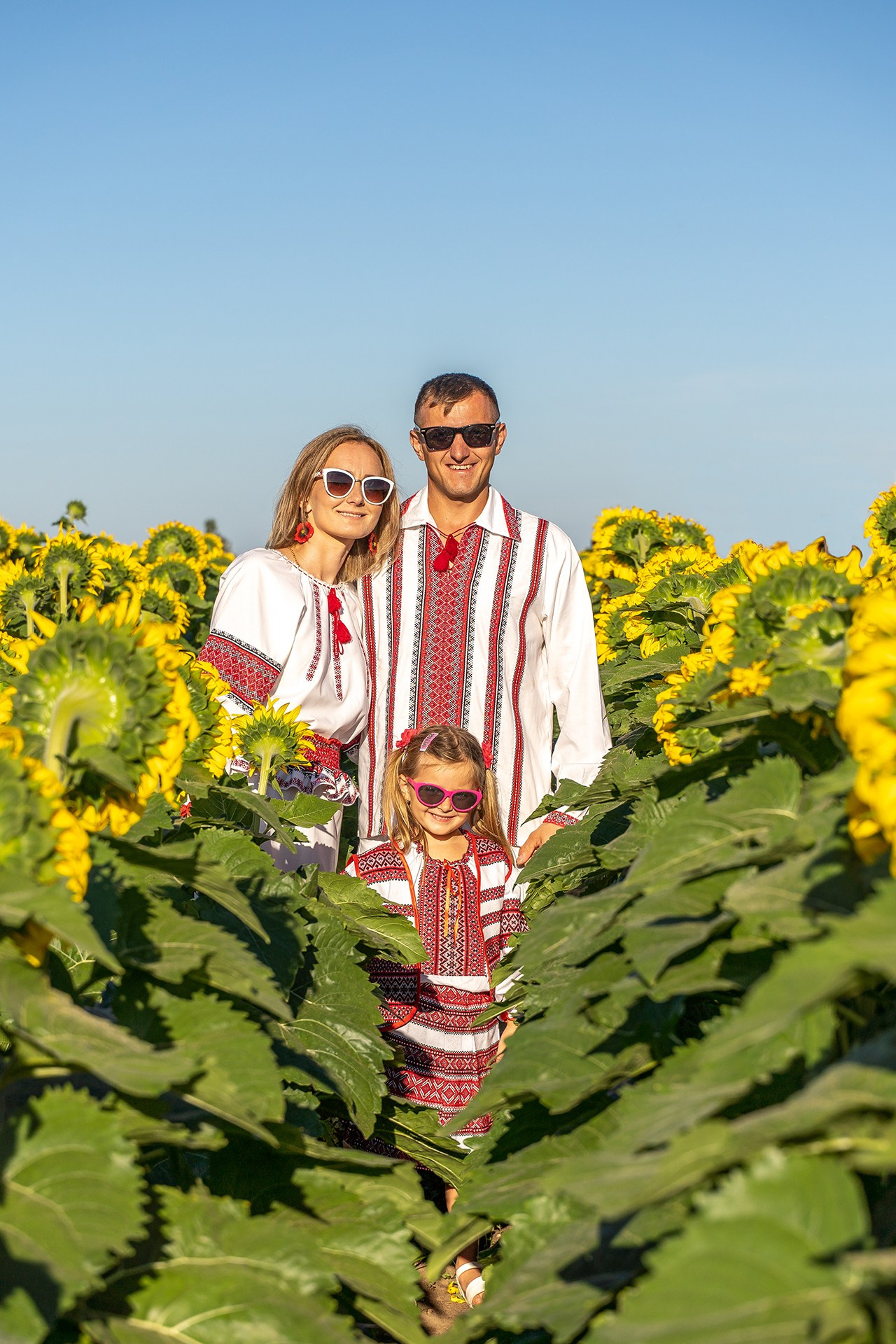 Sunflowers. ARTIGO Igor Rudyi Art Photography