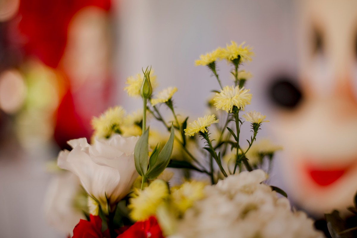 Isabella - 5 anos. Fotógrafa de Eventos em São Paulo e Sorocaba Kika Damasceno