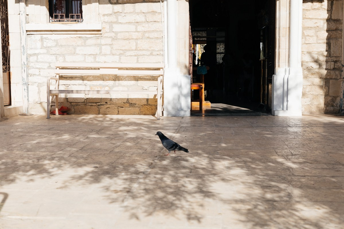 Крещение M - Прекрасное празднование в Европе и Нидерландах. Свадебный фотограф в Нидерландах и Европе — Тина Ялóва