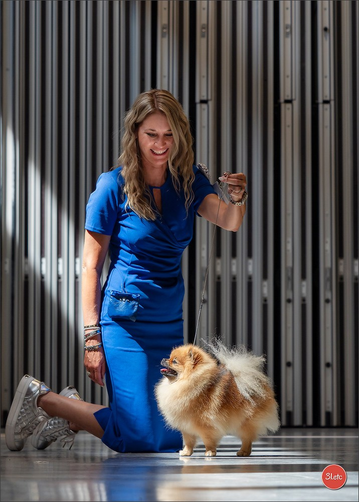 Dog Show Liege 🇧🇪 19-29/07/2025. Photographe à Strasbourg | Portraits, Studio, Enfants, Événements