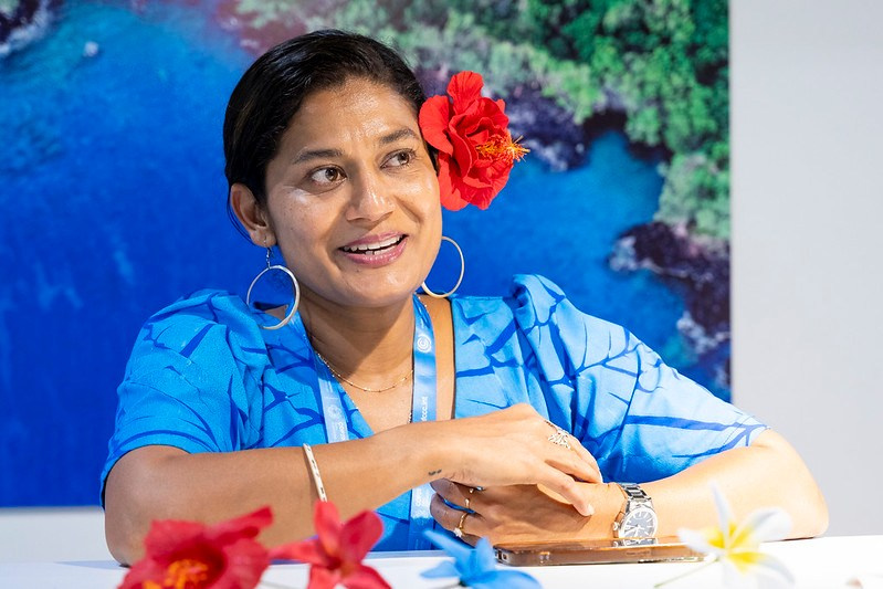 COP29. Ulvidasdamir.com