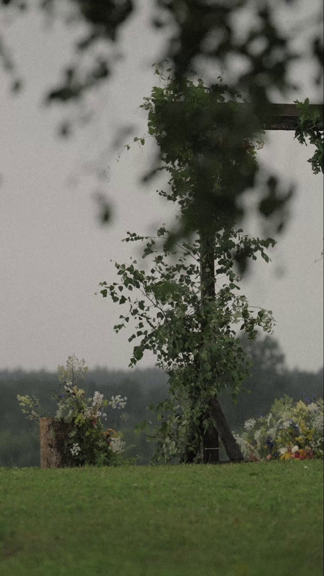 REEL VIDEO. Kāzu video un kāzu foto | BalticWedding - Ainārs Krauklis