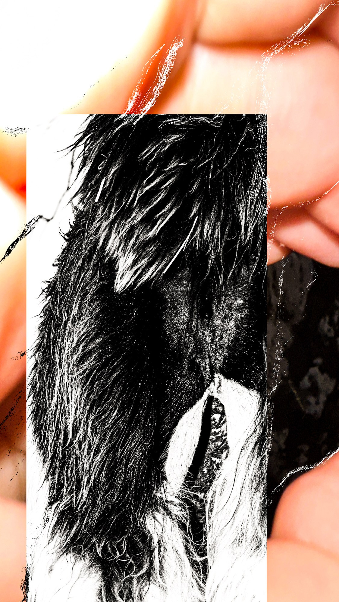 Photography’ Clipping. Ekaterina Tsurkina-Appina Photography Canada