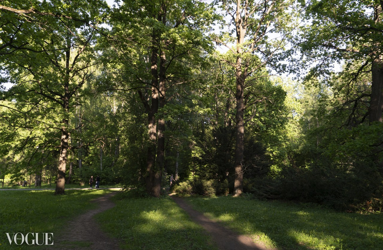 Красота садов и парков. Суть фотографии в стиле изобразительного искусства