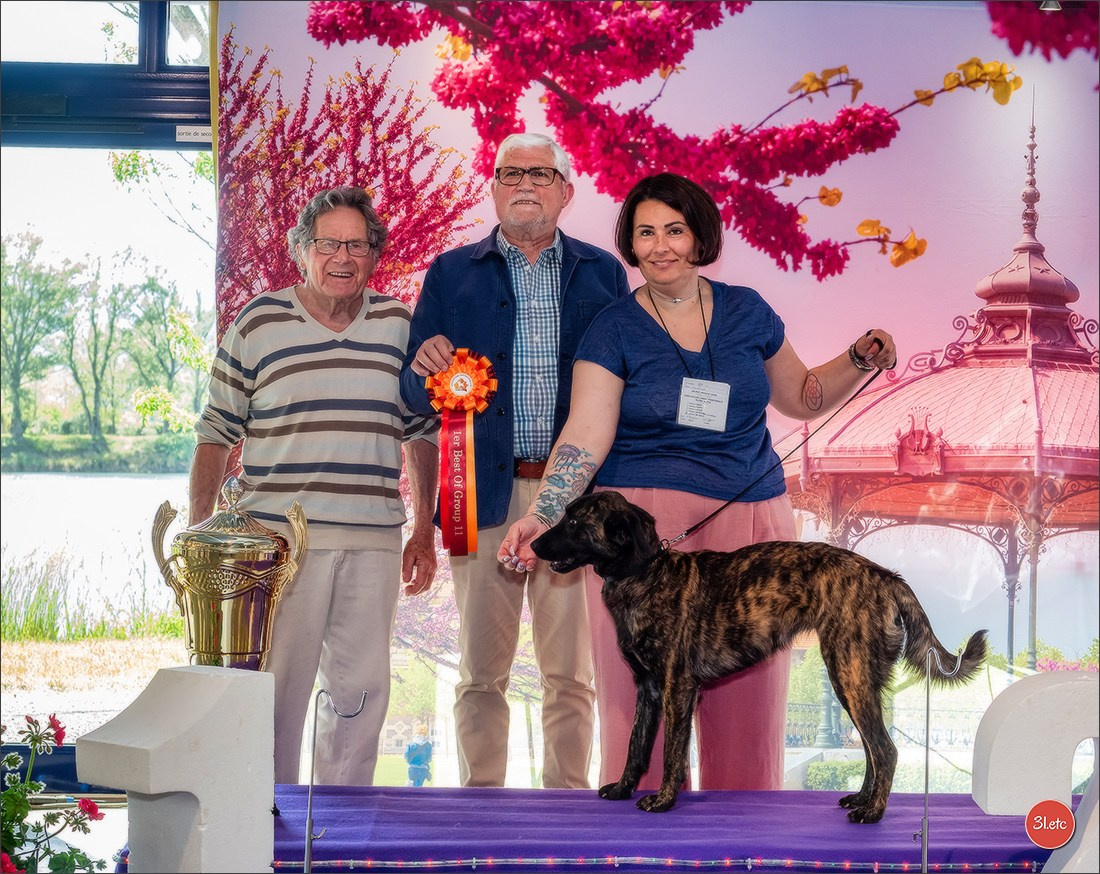Expo canine 🇫🇷 Valence 03-04/05/2025. Photographe à Strasbourg | Portraits, Studio, Enfants, Événements