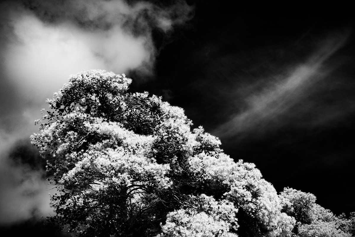 Отпечатки света. Фотограф в Израиле Максим Саяпин