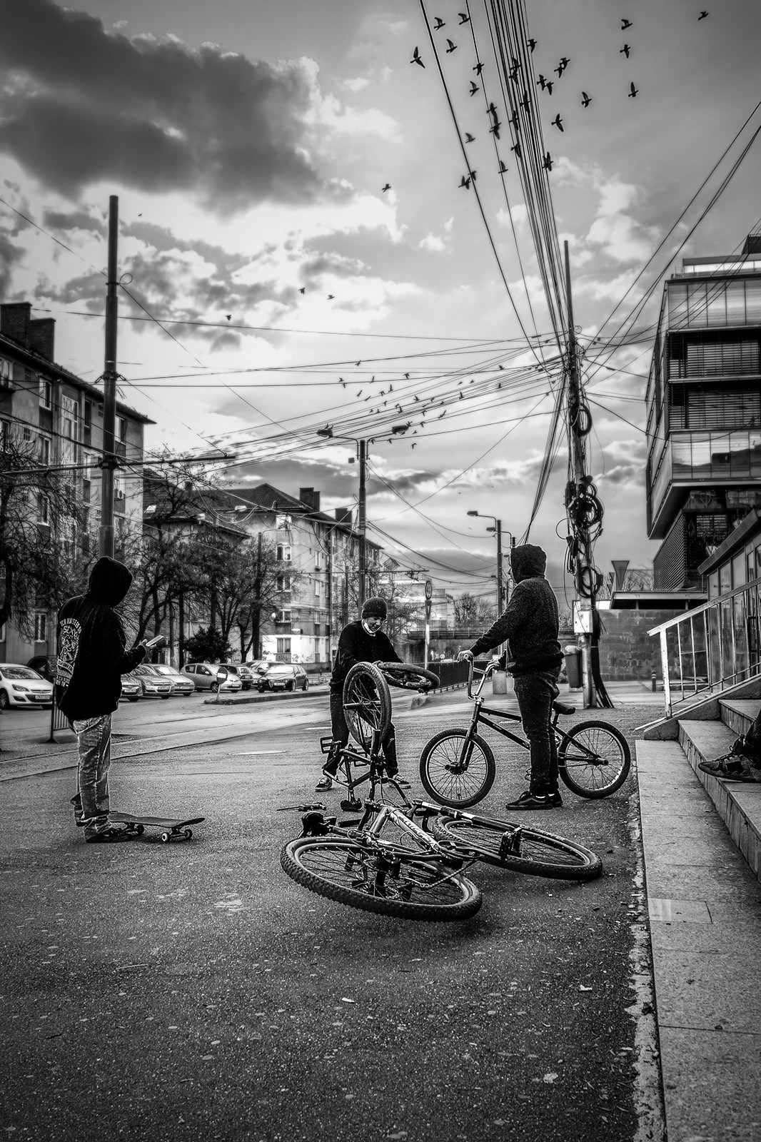 Portofoliu Foto | Gaudi Matei Arhiva fotografii