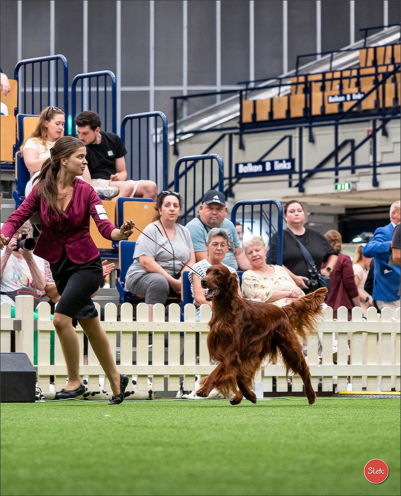 Dog Show Ludwigshafen  🇩🇪  16-17/08/2025. Photographe à Strasbourg | Portraits, Studio, Enfants, Événements