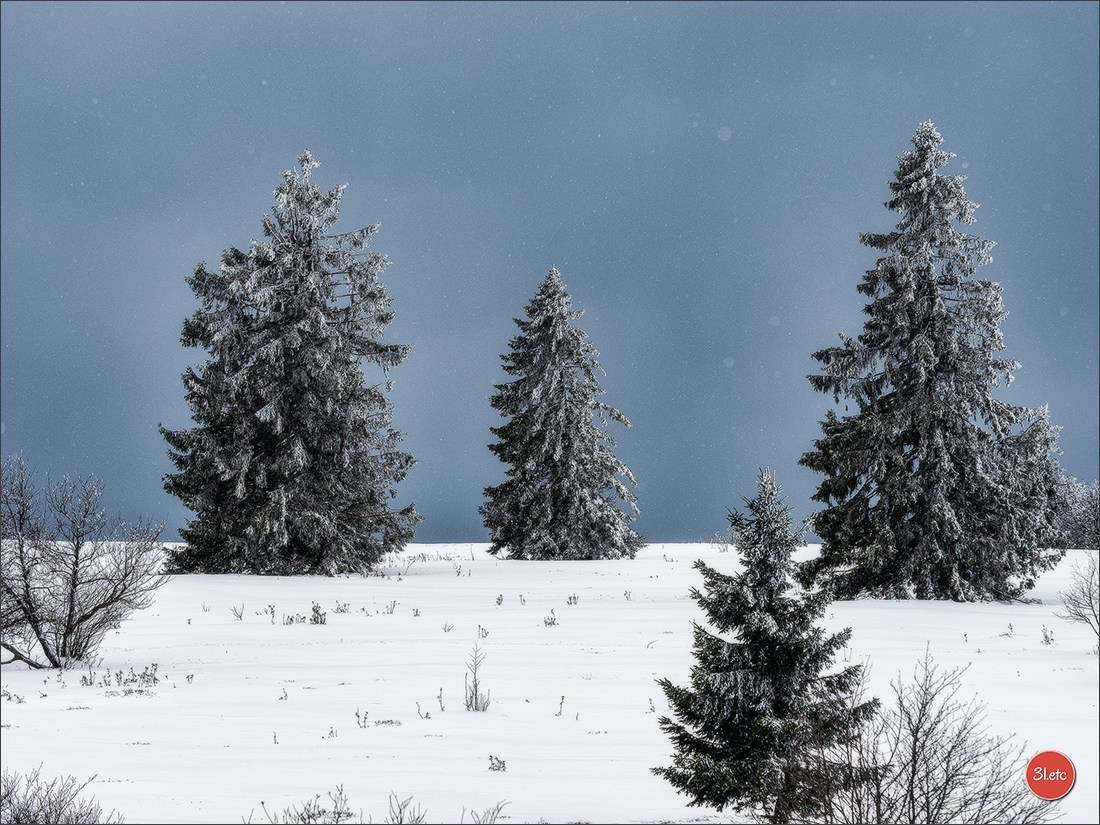 Temps étonnant fin avril en Alsace. Il a neigé. Photographe à Strasbourg | Portraits, Studio, Enfants, Événements