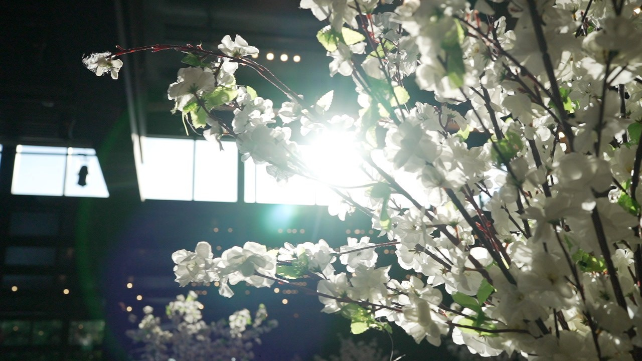 VIA / BASICO. Wedding and events photographers Studio Shalom