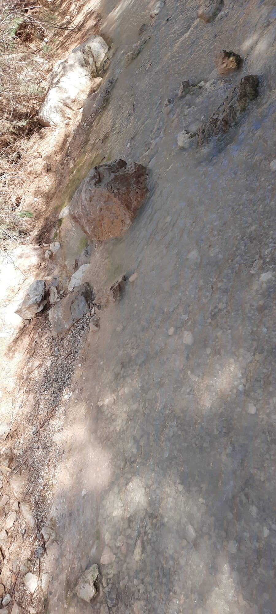 Женский поход 2024 — клуб «Нортман». КРиС «Нортман»