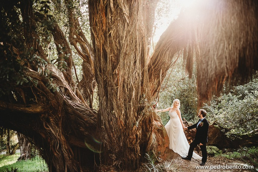 " Sounds Of Enchantment”. Rui Mota Pinto Wedding Designer & Planner