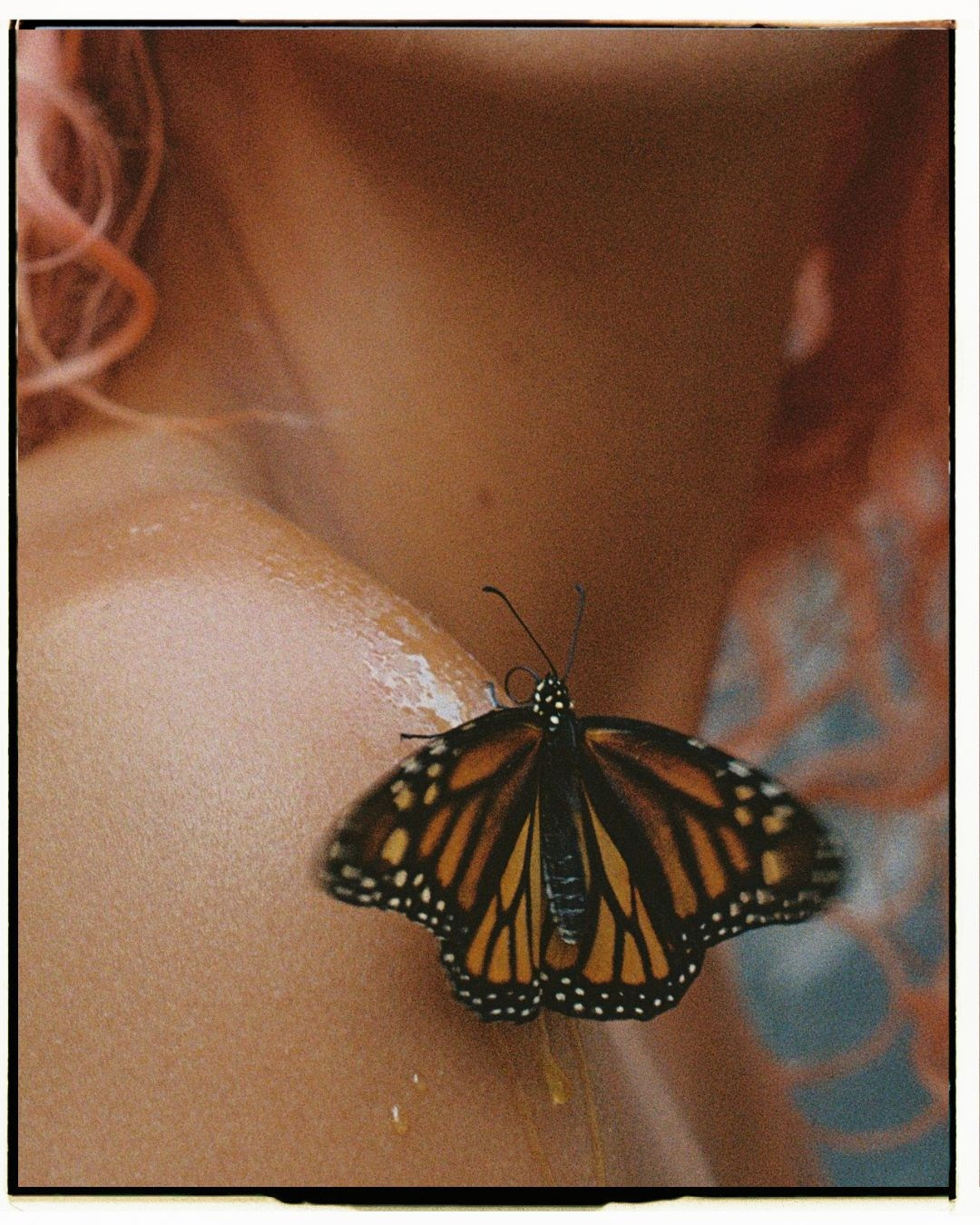Adriana Butterfly. Portrait photographer in Madeira — Marina Shtukina