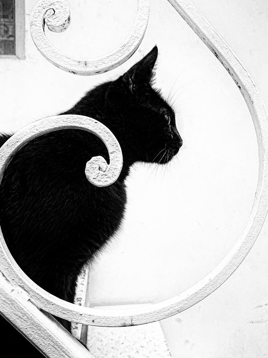 Работы учеников. Фотограф и преподаватель фотографии в Белграде