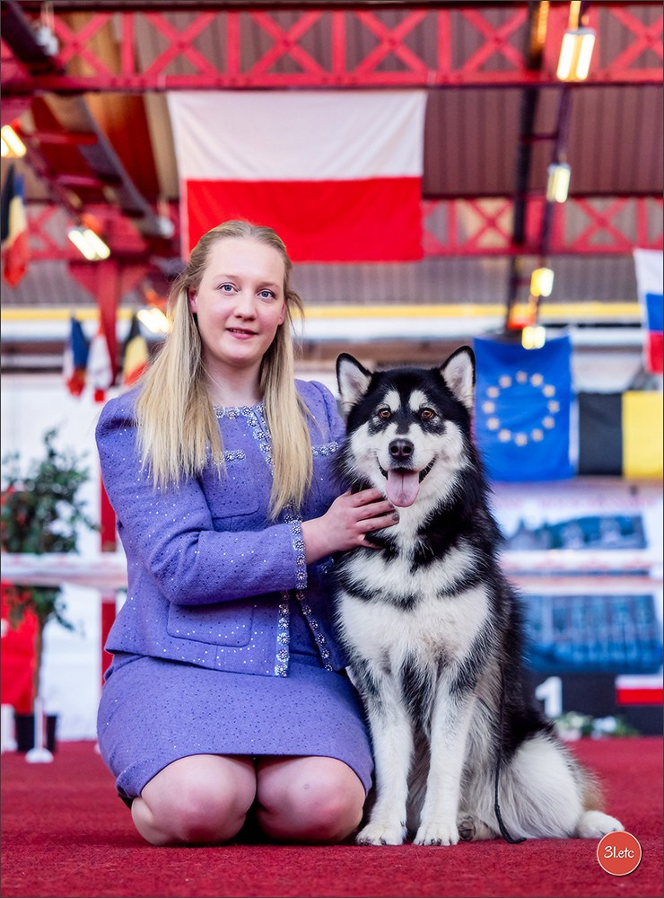 À l'exposition de Mouscron 🇧🇪 #dogshow #dogsphotography #expocanine #photopets #pets #dogs #aminalier #animals #mouscron #mouscron2025. Photographe à Strasbourg | Portraits, Studio, Enfants, Événements
