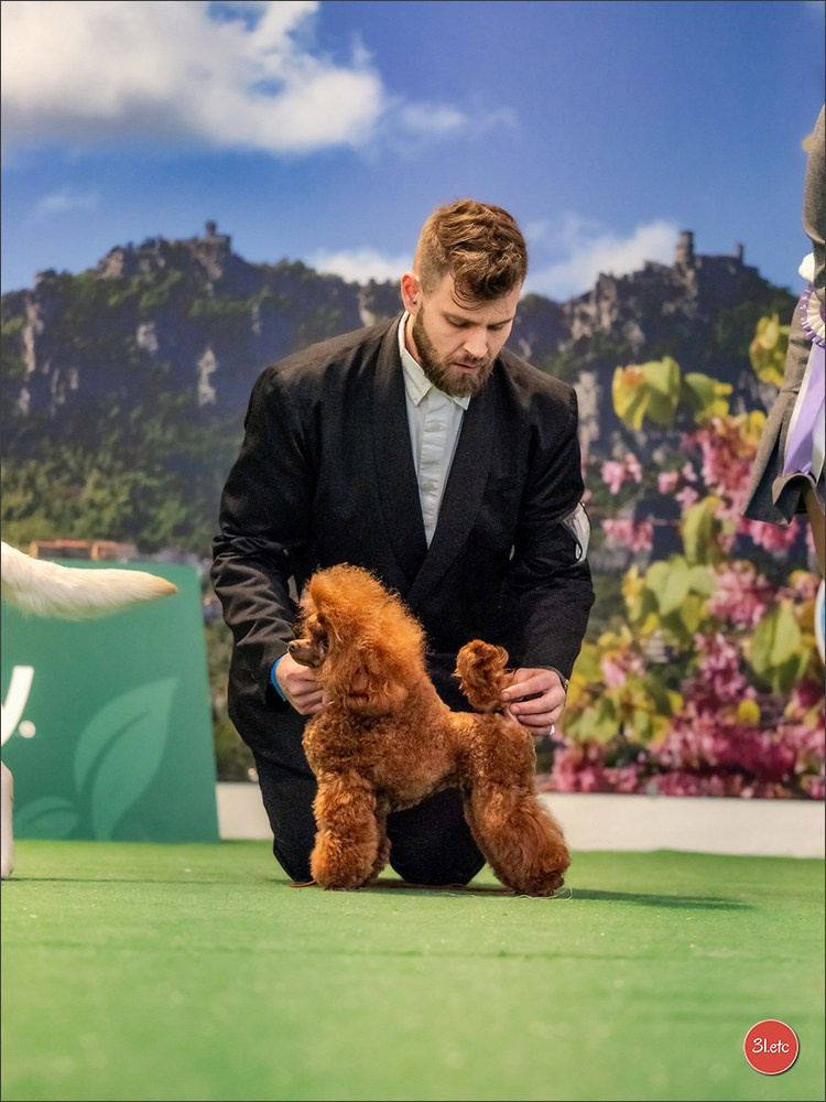 Dog Show  🇮🇹  San Marino. Photographe à Strasbourg | Portraits, Studio, Enfants, Événements
