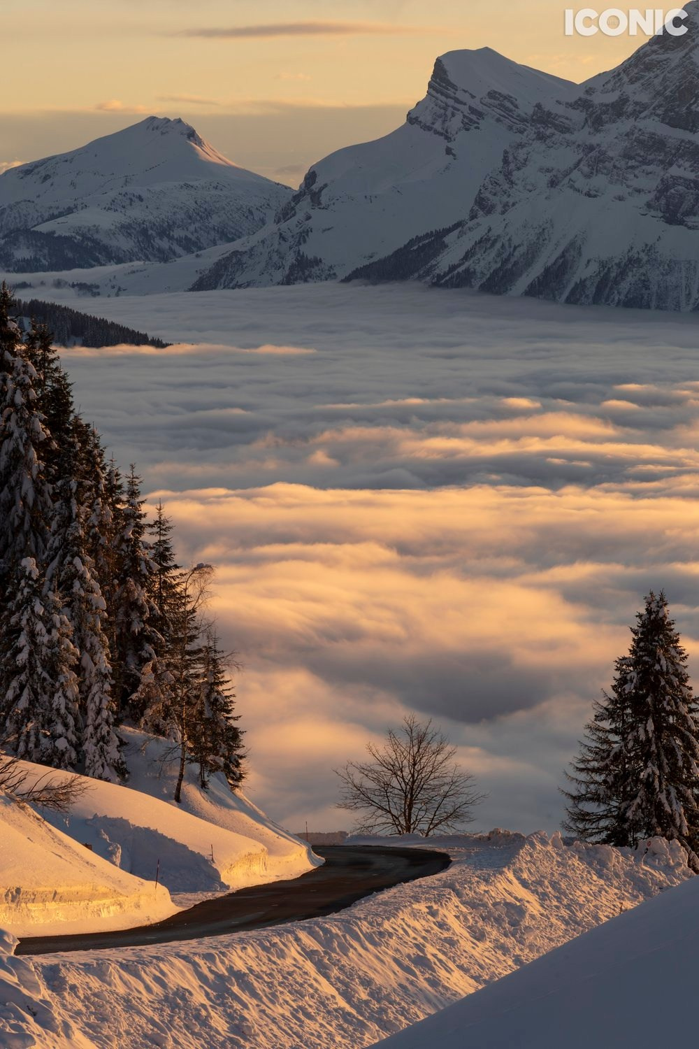 Publications. OLGA REPTIK