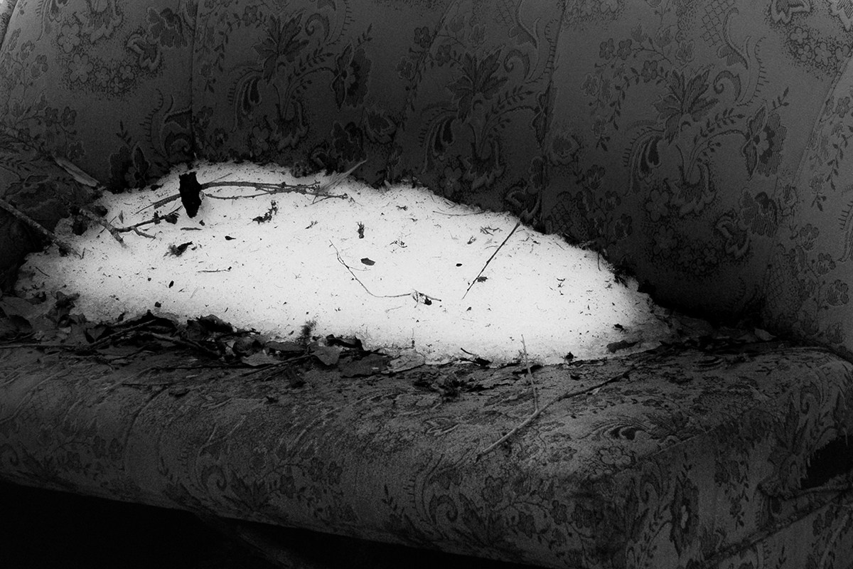 Catalogue of Forgone Objects. Jana Gertz