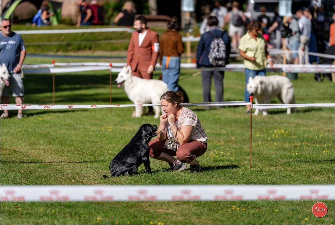 🇫🇷  CHARTRES  🇫🇷  2026  🇫🇷  Exposition Canine Nationale - Château des Boulard