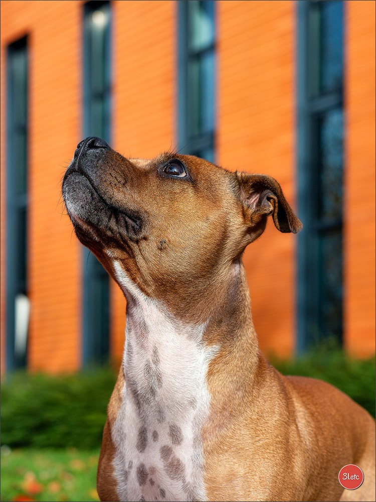 Strasbourg autumn. Photographe à Strasbourg | Portraits, Studio, Enfants, Événements