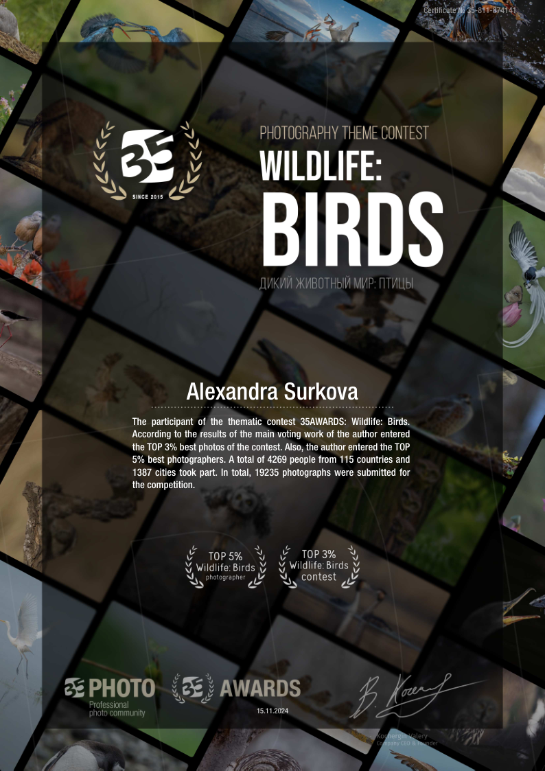 ABOUT. Fine art wildlife photographer Alexandra Surkova